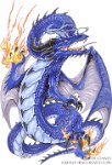 Commission - Blue Dragon  Type: Full body commission For a friend : blue dragon, markers, commission
