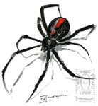 Inktober17 31 black widow  31-10-2017  Spider!  Same pen as yesterday.