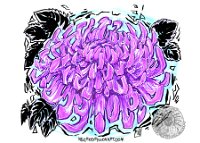 Inktober2018 26  Day 26. Chrysanthemum