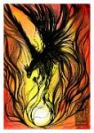 Phoenix  Media: FW acrylic ink on 10"x7" acrylic canvas paper.  Just doodling here. : Phoenix, bird, firebird, black, red, fire, ink