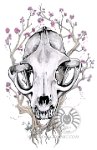 Seasonal Skulls - Spring : skull, seasonal, seasons, spring, lynx, cat, bobcat, skull, animal, nature, cherry, blosson, tree, branches, roots