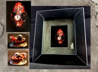 MiniSkulls - Demon Vampire Bat  Media: Acrylics, ink, citadel paints, glass cabochon, kneadatite, resin replica skull. 800x900mm frame.  Vampire bat. : animal, nature, craft, framed, skull, demon, vampire, bat